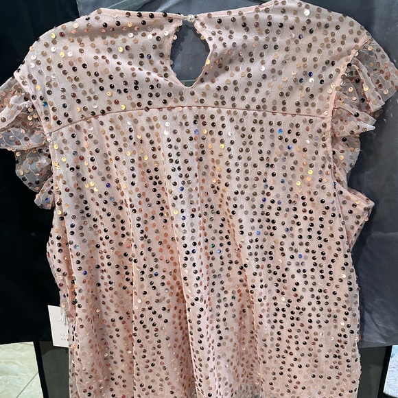 Lauren Conrad Pink Sequin Ruffle Top - Picture 2 of 7